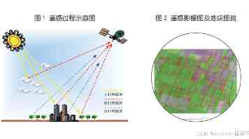 禁止18的符号表情包｜识别与应对指南